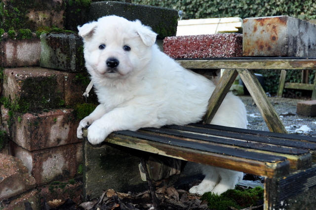 Fotos/Willow 2013/week 5/Owen5.jpg