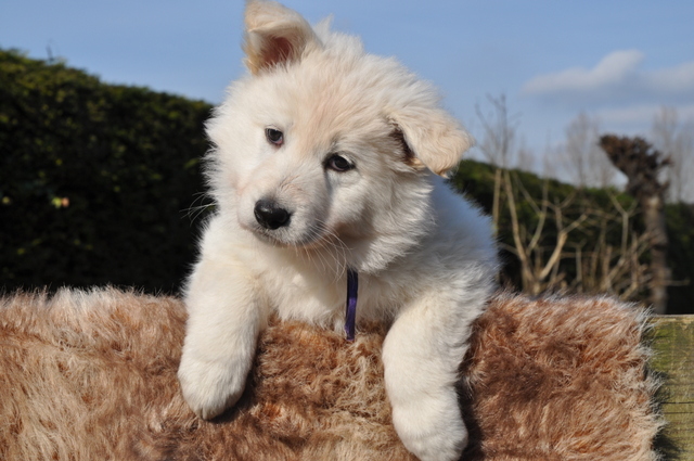 Fotos/Willow 2013/week 6/Ouzy7.jpg