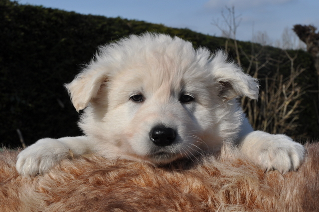 Fotos/Willow 2013/week 6/Owen7.jpg