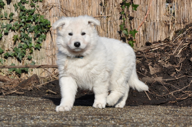 Fotos/Willow 2013/week 7/Owen7.jpg